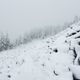 Illustration for article titled Mailbox Peak - True Suffering